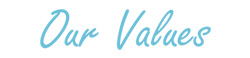 Our values